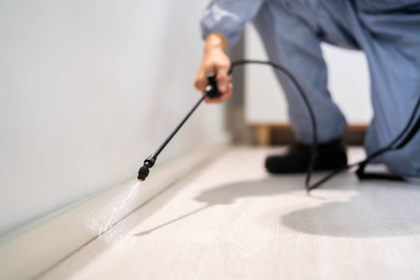 Licensed Mosquito Control service in Metairie, LA - Show Me Pest Control