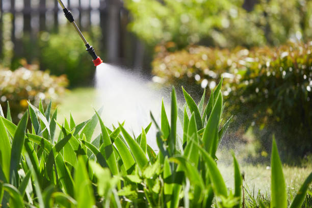24/7 Emergency Mosquito Control experts in Metairie, LA