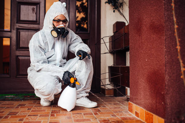 Reliable Mosquito Control contractor in Metairie, LA by Show Me Pest Control