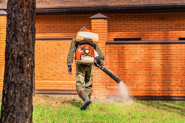Top rated local Mosquito Control specialists in Metairie, LA